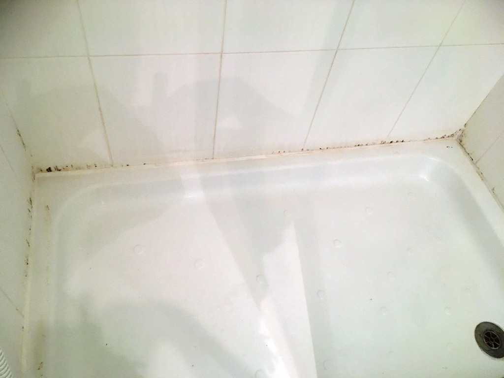 Ceramic Tiled Bathroom Before Cleaning in Romiley